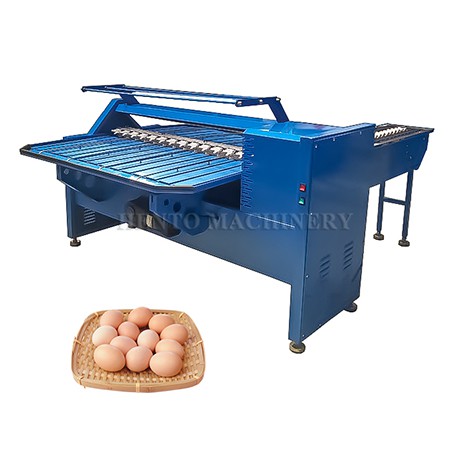 Egg Grading Machine