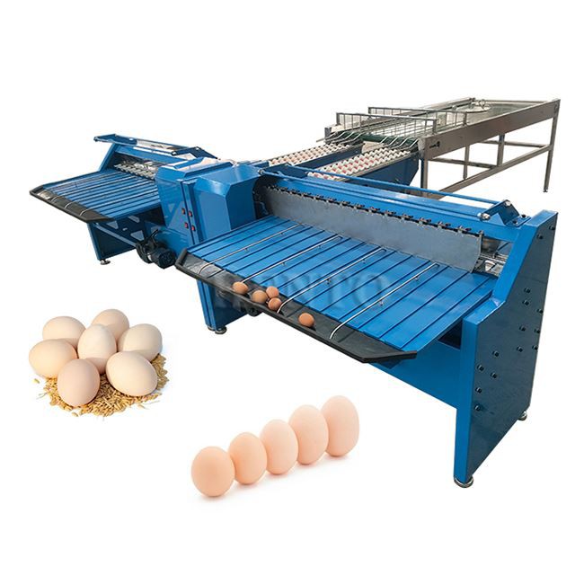 Egg Grading Machine