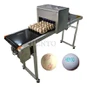 Egg Printer Machine