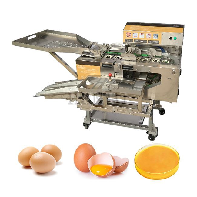 Egg White and Yolk Separator Machine factory