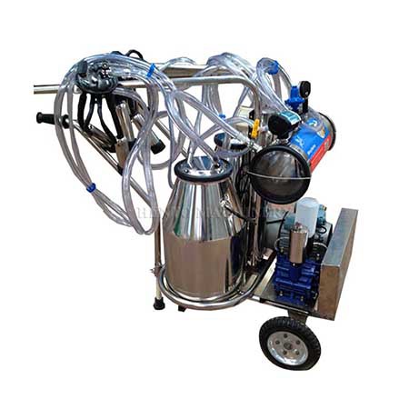 Goat Milking Machine