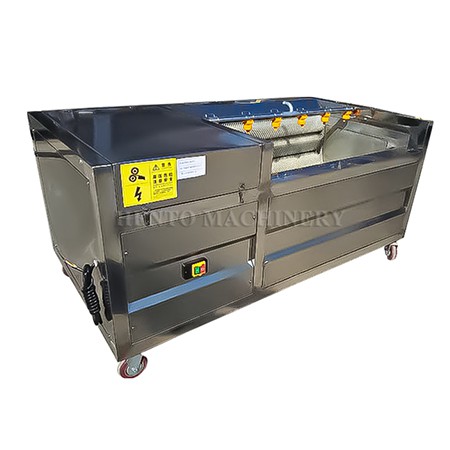 automatic fish scaler machine