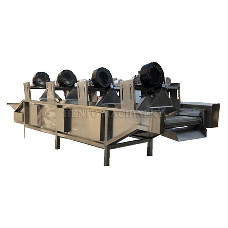 mango fruit drying machine