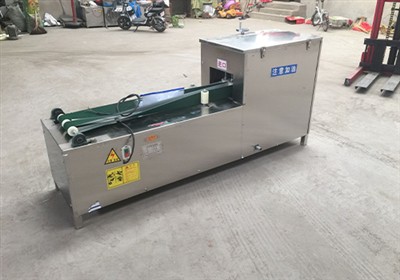 What is Small Fish Killing Machine?