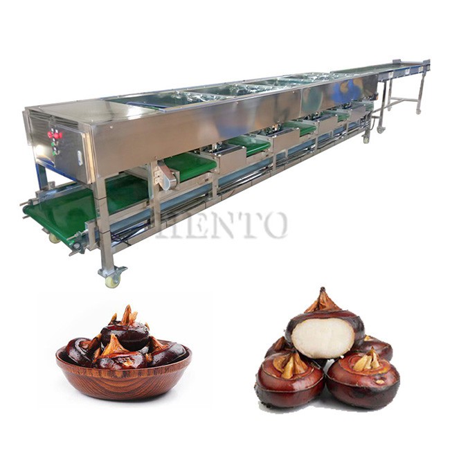 Mushroom Sorting Machine