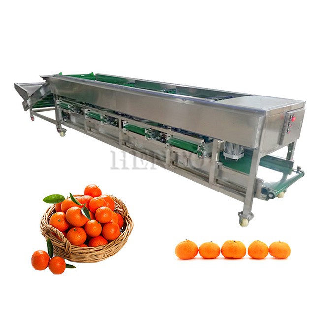 Mushroom Sorting Machine