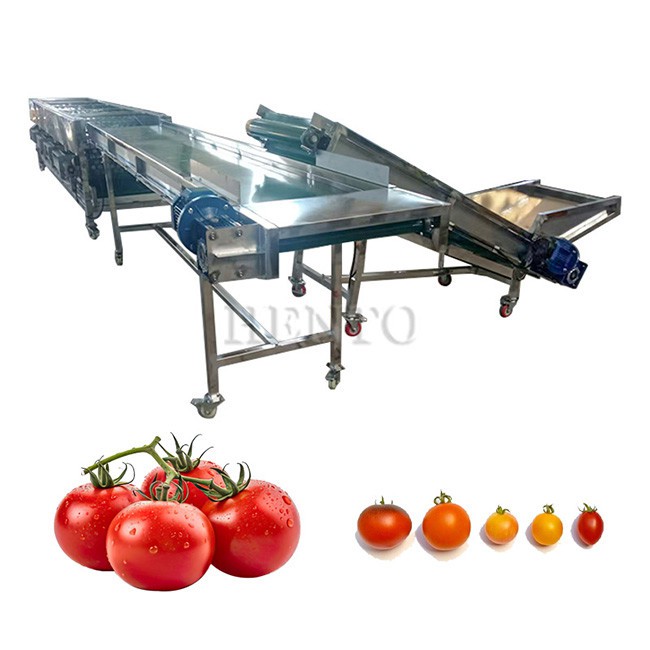Mushroom Sorting Machine