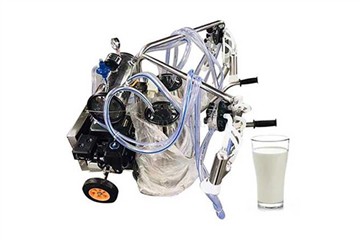 Milking Machines Are Not Harmful To Cows