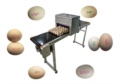 Egg Inkjet Printer Exported To South Korea