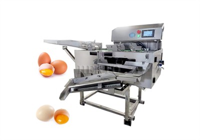 Hot Sale Automatic Egg Breaker and Yolk Separator Machine with factory price