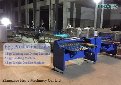 Exported To Russia Egg Production Line On 1st,April,2024