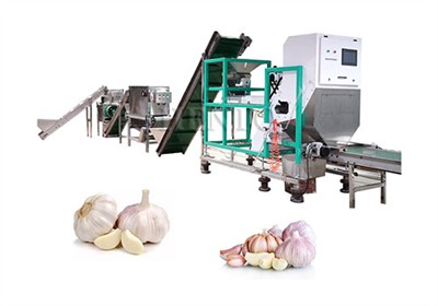 The purpose of Garlic Color Sorter