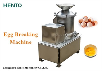 Egg Breaking Machine Exported To America