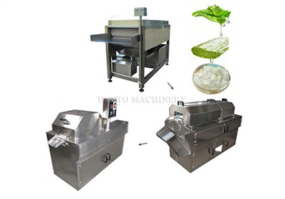 Aloe Vera Processing - A New Market Hotspot!