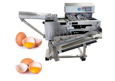 How to use Electric Egg Breaker?