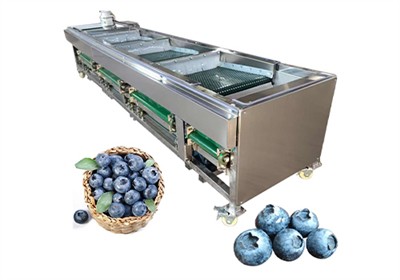 How many grades can a blueberry grading machine classify blueberries into?