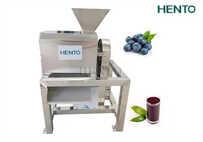 Mango Pulper Machine