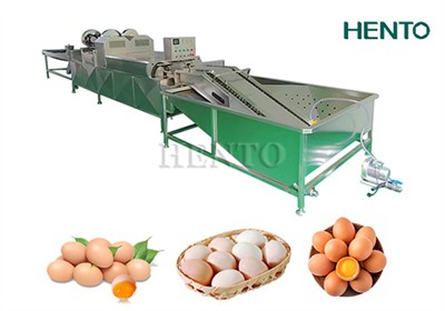 A Great Helper In Food Processing-Egg Washing Machine Line