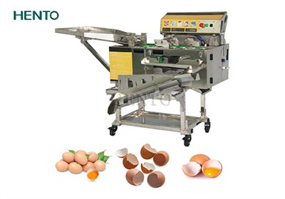 How to quickly separate the egg white and yolk?