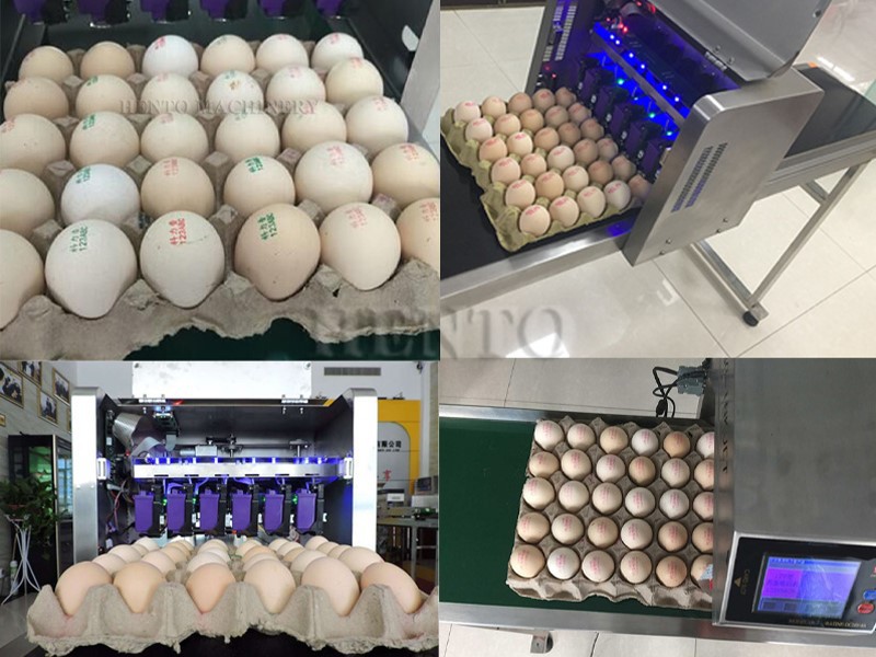 Egg Printer 3 Egg Printer 3