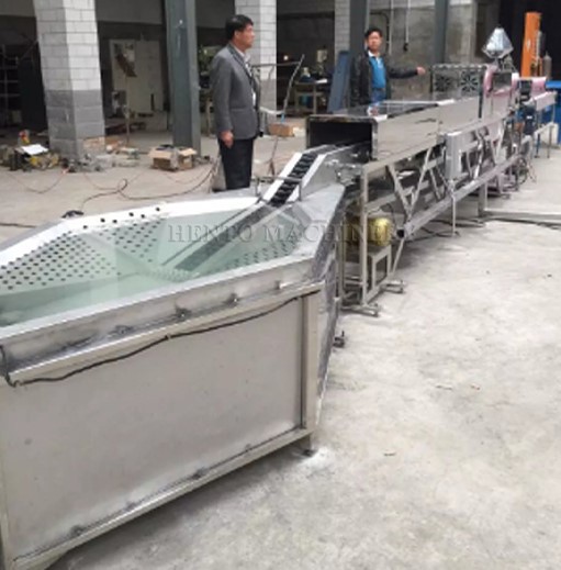 Chicken Egg Sorting Machine1