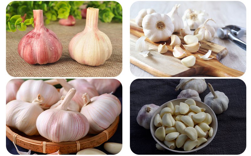 garlic color sorter 2