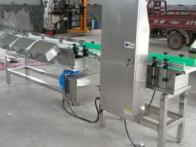 Chicken Grader2 Chicken Grader2