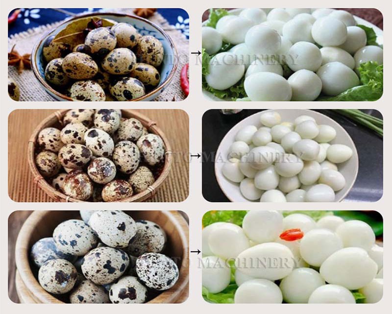 Quail Egg Sheller Machine