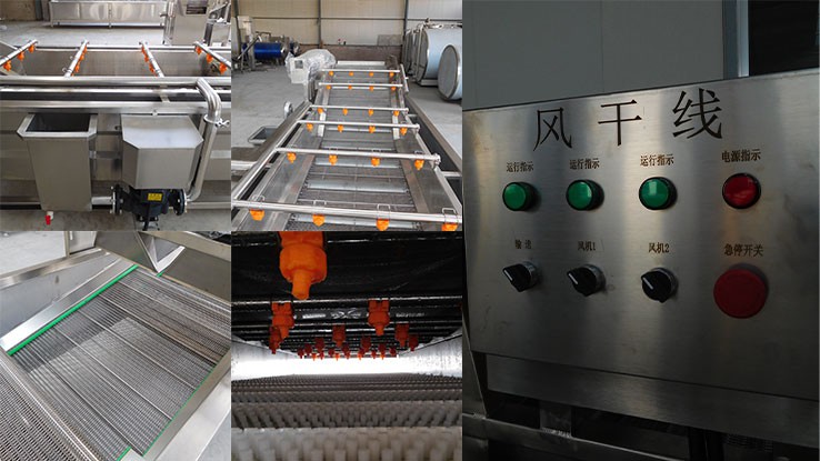 Fruit and Vegetable Drying Production Line2
