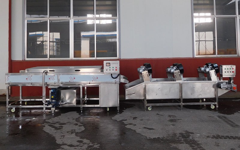 Fruit and Vegetable Drying Production Line3