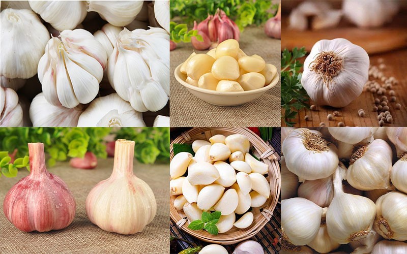 garlic peeling machine 2