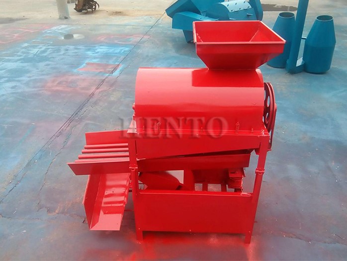 Horse Chestnut Horse Chestnut