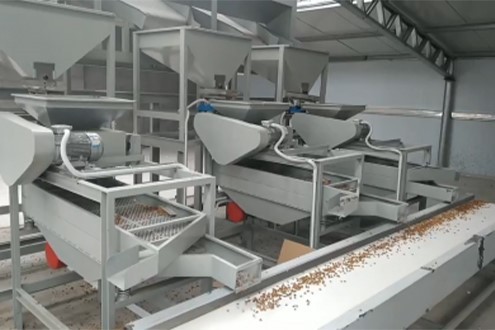 Nuts Shelling production line 3
