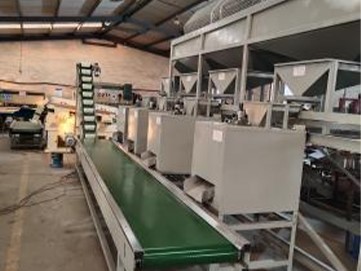Nuts Shelling production line 17