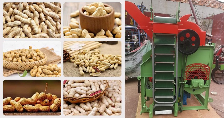 dry type peanut picker