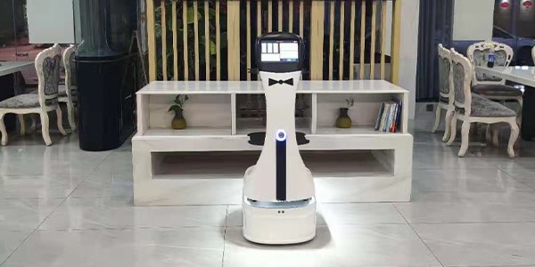 Restaurant Robot Waiter Service