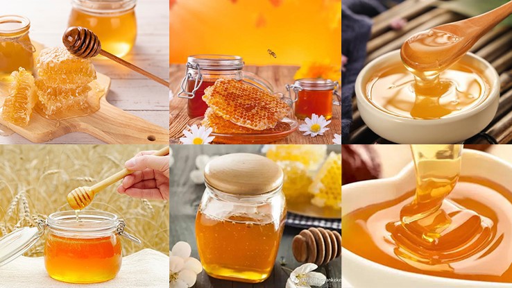 Honey Extractor Machine 2 Honey Extractor Machine 2