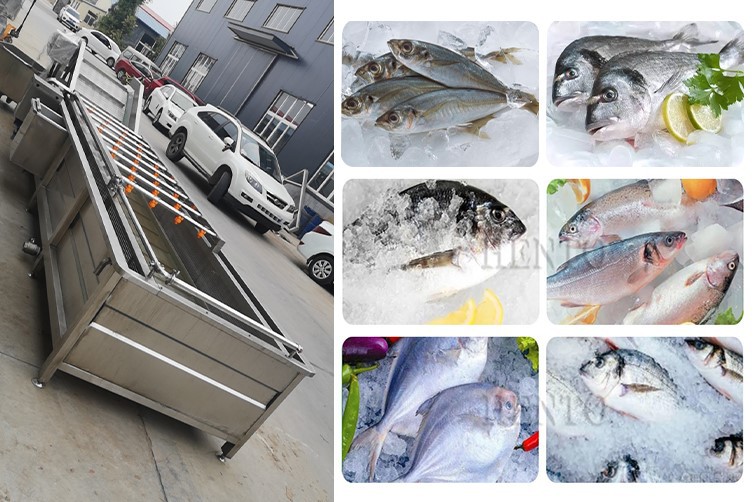 Fish Thawing Machine2