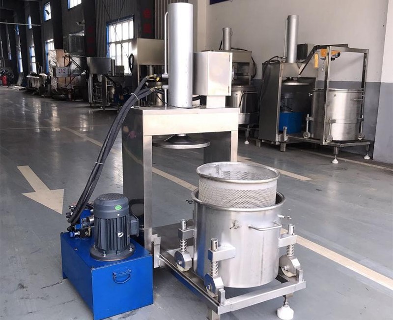 fruit juice squeezer fruit juice squeezer