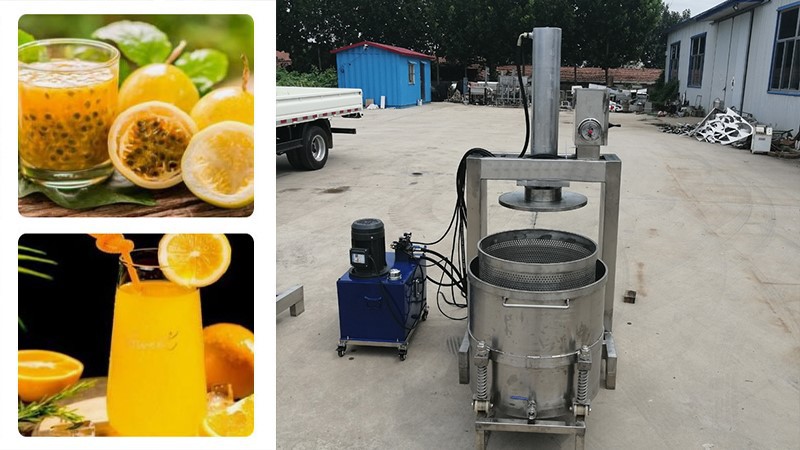 fruit squeezer fruit squeezer