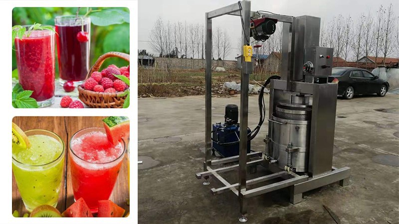 fruit juicer squeezer stainless steel