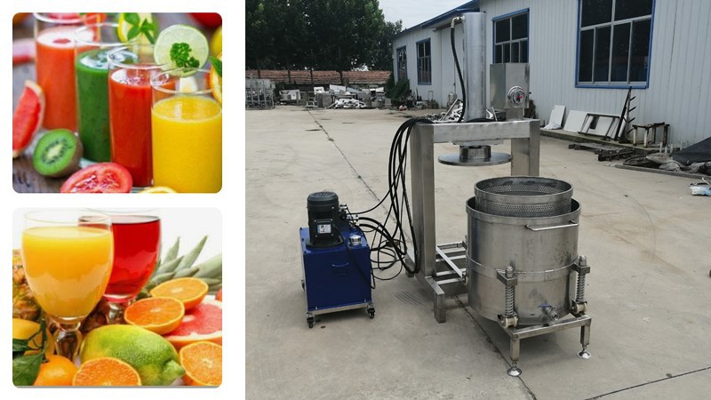 fruit juicer squeezer