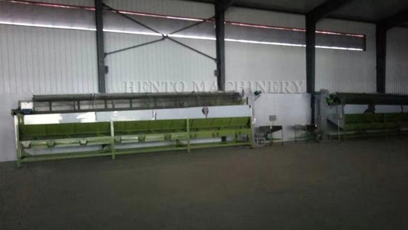 size grading machine for cashew nuts