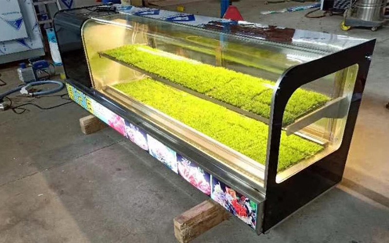 Sushi Display Refrigerator