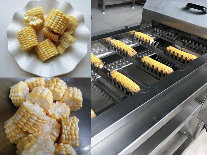Corn Cob Cutter Machine