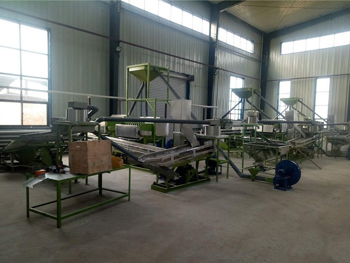 Automatic Cashew Shelling Production Line