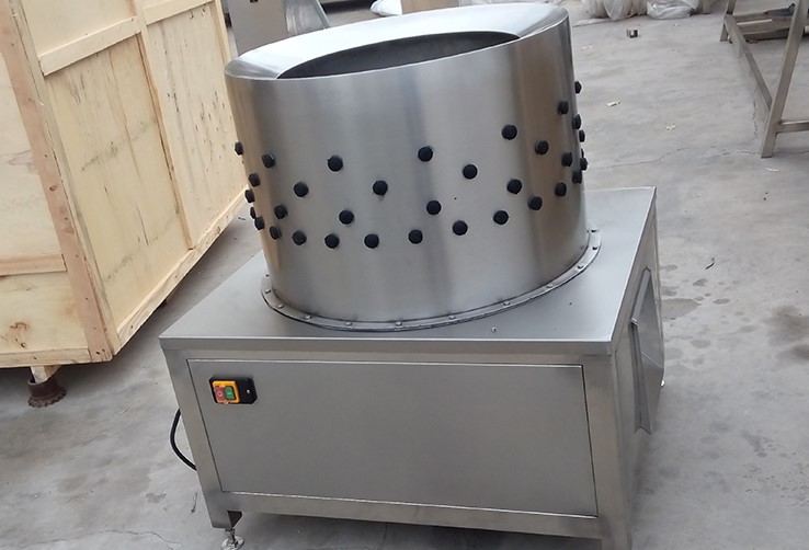 chicken feet frozen chicken feet frozen