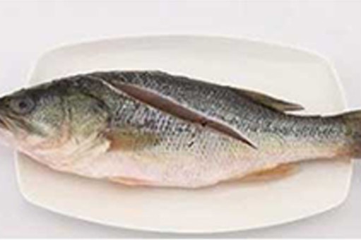 fish cutting machine automatic fish cutting machine automatic