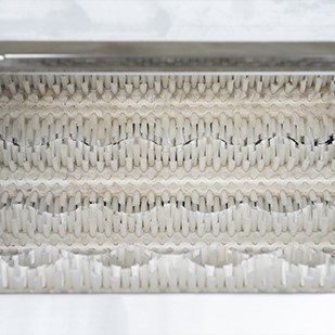 Vegetable Brush Cleaning Machine 3