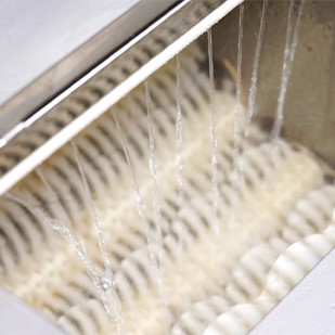 Vegetable Brush Cleaning Machine 4